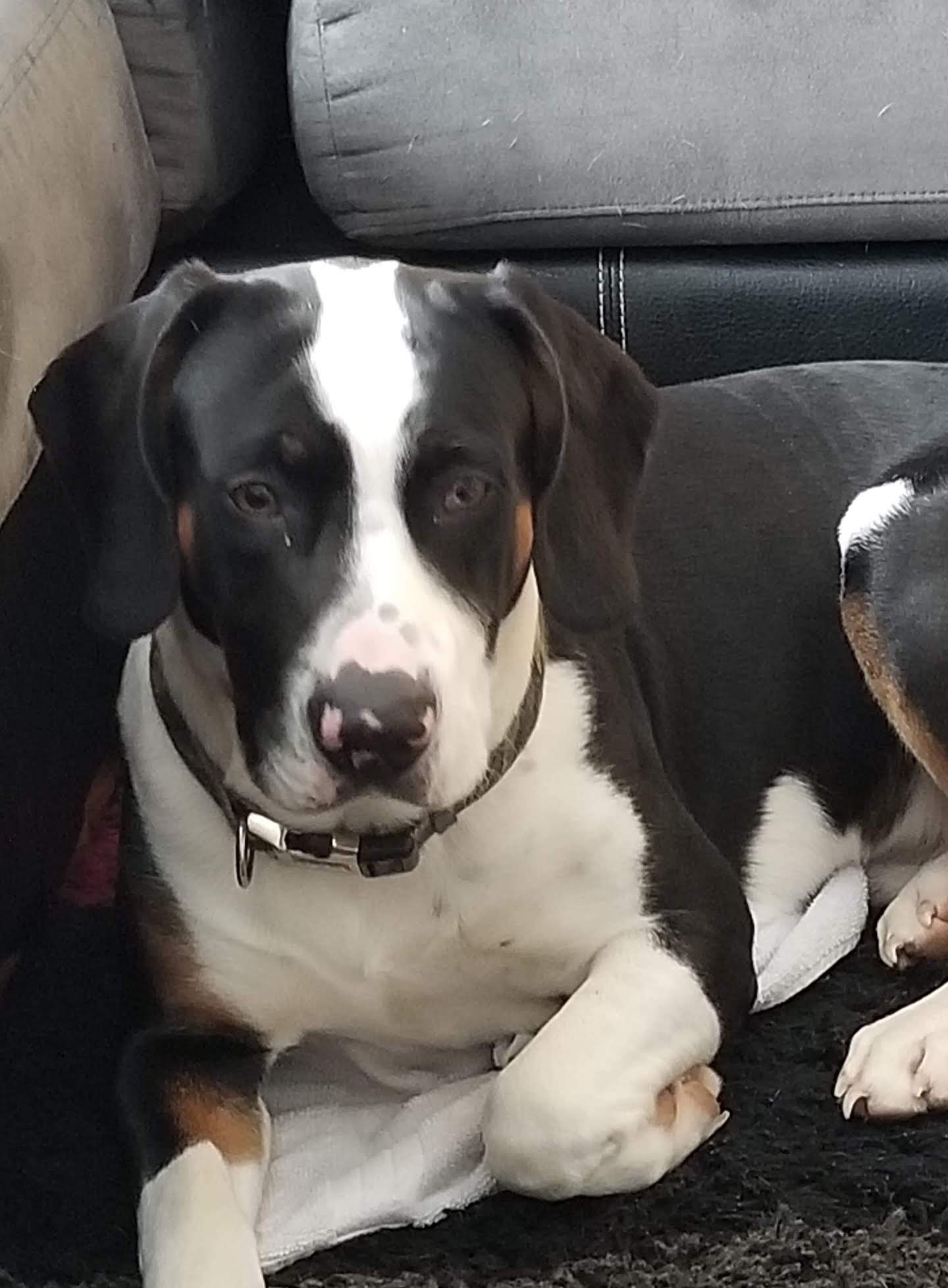 The first photo we got of Sir Flop