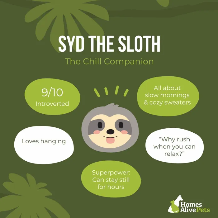 Syd the Sloth Personality Description